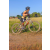 Team 85 / Raid l'Arbre Vert Cambodge - VTT