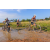 Team 39 / Raid l'Arbre Vert Cambodge - VTT