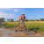 Team 54 / Raid l'Arbre Vert Cambodge - VTT