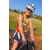 Team 52 / Raid l'Arbre Vert Cambodge - VTT