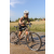 Team 50 / Raid l'Arbre Vert Cambodge - VTT