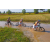 Team 48 / Raid l'Arbre Vert Cambodge - VTT