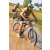 Team 23 / Raid l'Arbre Vert Cambodge - VTT