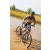 Team 23 / Raid l'Arbre Vert Cambodge - VTT