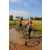 Team 14 / Raid l'Arbre Vert Cambodge - VTT