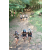 Team 15 / Raid l'Arbre Vert Cambodge - VTT