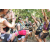 Team 23 / Raid l'Arbre Vert Cambodge - VTT