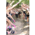 Team 14 / Raid l'Arbre Vert Cambodge - VTT