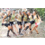 Team 39 / Raid l'Arbre Vert Cambodge - VTT