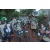 Raid l'Arbre Vert Cambodge - VTT