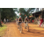 Team 09 / Raid l'Arbre Vert Cambodge - VTT