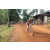 Team 79 / Raid l'Arbre Vert Cambodge - VTT