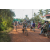Team 12 / Raid l'Arbre Vert Cambodge - VTT