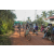 Team 07 / Raid l'Arbre Vert Cambodge - VTT