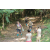Team 57 / Raid l'Arbre Vert Cambodge - VTT