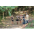 Team 30 / Raid l'Arbre Vert Cambodge - VTT