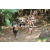 Raid l'Arbre Vert Cambodge - VTT