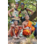 Team 26 / Raid l'Arbre Vert Cambodge - VTT