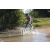 Team 57 / Raid l'Arbre Vert Cambodge - VTT