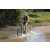 Team 15 / Raid l'Arbre Vert Cambodge - VTT
