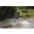 Team 73 / Raid l'Arbre Vert Cambodge - VTT