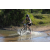 Team 06 / Raid l'Arbre Vert Cambodge - VTT