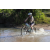 Team 06 / Raid l'Arbre Vert Cambodge - VTT