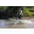 Team 72 / Raid l'Arbre Vert Cambodge - VTT
