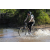 Team 72 / Raid l'Arbre Vert Cambodge - VTT