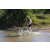 Team 22 / Raid l'Arbre Vert Cambodge - VTT