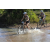 Team 29 / Raid l'Arbre Vert Cambodge - VTT