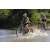 Team 80 / Raid l'Arbre Vert Cambodge - VTT