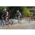 Team 29 / Raid l'Arbre Vert Cambodge - VTT