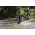 Team 63 / Raid l'Arbre Vert Cambodge - VTT