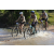 Team 29 / Raid l'Arbre Vert Cambodge - VTT