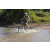 Team 80 / Raid l'Arbre Vert Cambodge - VTT