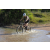 Team 25 / Raid l'Arbre Vert Cambodge - VTT