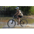 Team 50 / Raid l'Arbre Vert Cambodge - VTT