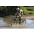 Team 65 / Raid l'Arbre Vert Cambodge - VTT