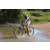 Team 65 / Raid l'Arbre Vert Cambodge - VTT