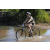 Team 77 / Raid l'Arbre Vert Cambodge - VTT