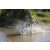 Team 21 / Raid l'Arbre Vert Cambodge - VTT