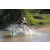 Team 13 / Raid l'Arbre Vert Cambodge - VTT
