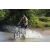 Team 13 / Raid l'Arbre Vert Cambodge - VTT