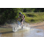 Team 49 / Raid l'Arbre Vert Cambodge - VTT