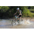 Team 49 / Raid l'Arbre Vert Cambodge - VTT