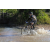 Team 67 / Raid l'Arbre Vert Cambodge - VTT