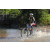 Team 67 / Raid l'Arbre Vert Cambodge - VTT