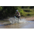 Team 14 / Raid l'Arbre Vert Cambodge - VTT