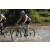 Team 19 / Raid l'Arbre Vert Cambodge - VTT